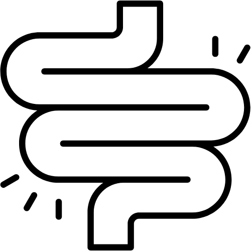 Constipation and Digestion