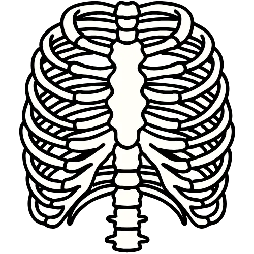 Rib Pain
