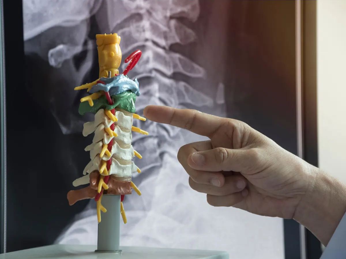 The Spine and Mood Connection